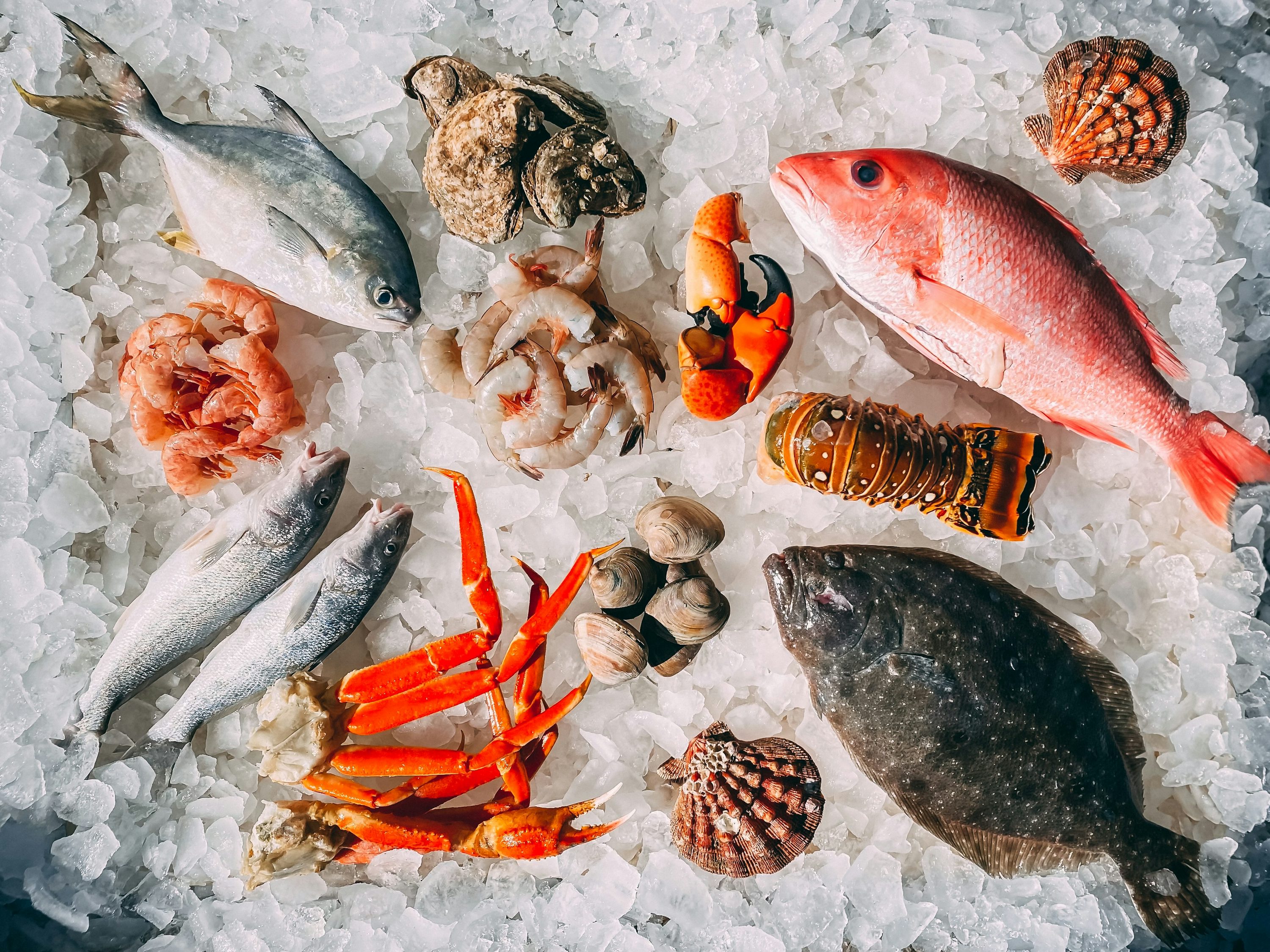 Fisk og skalldyr på is — fra Tastebuds sin opprinnelige forside