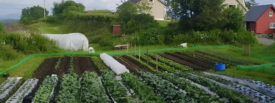 Bakke Gård — fra Tastebuds-arkivet