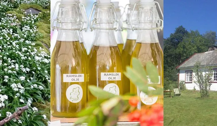 Eikenberg — fra Tastebuds-arkivet