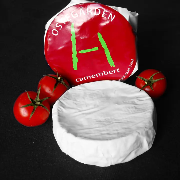 Camembert - Master